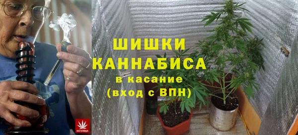 бутират Белокуриха