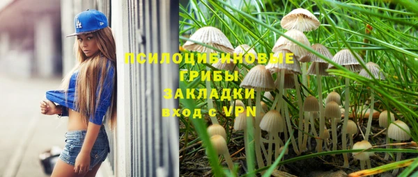 стаф Беломорск
