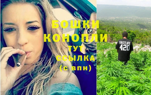 бутират Белокуриха
